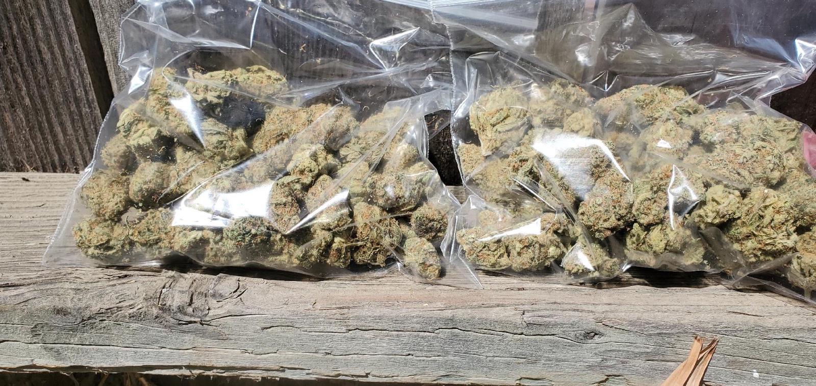 DOWN FOR FUN AND SELL DRUG π
 !!! π¦π¦π¦π¦πππππ
π
 DOWN FOR FUN AND SELL DRUG π
 !!! π¦π¦π¦π¦πππππ
π