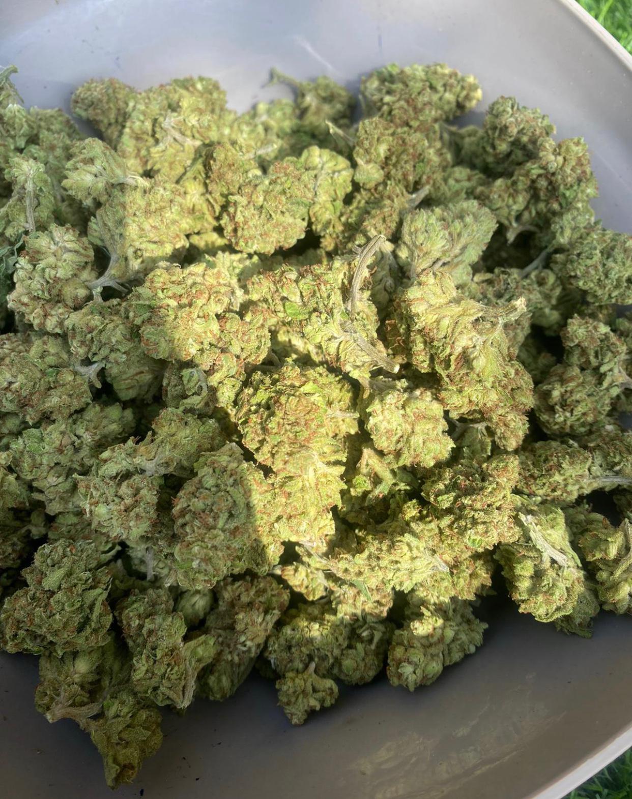 HOOKUP ONLY AND SELL DRUGS HOOKUP ONLY AND SELL DRUGS