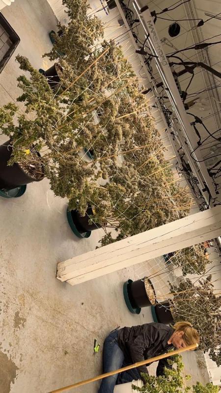 HOOKUP SEXAND SELL DRUGS😘😘🍑🍑